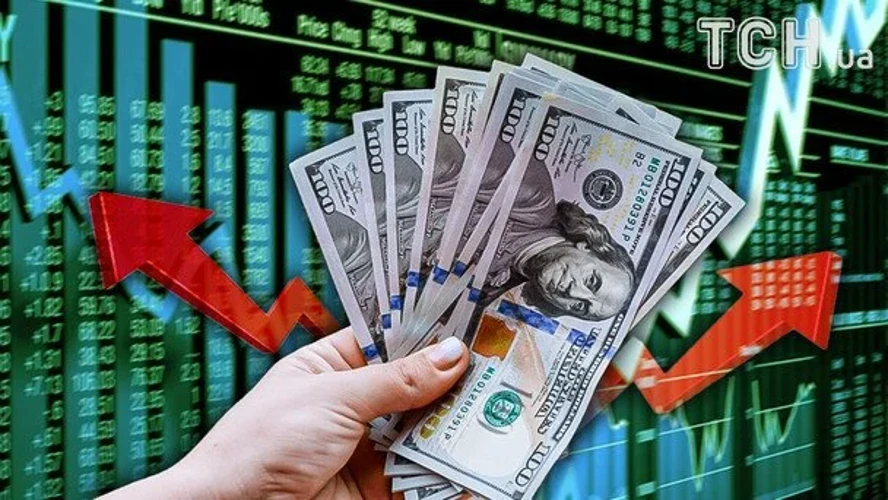 Курс валют НБУ на 5 серпня: євро подешевшав на 11 копійок, долар і злотий — на 4